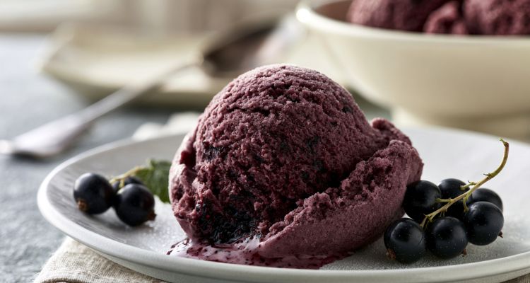 Delia Smith Blackcurrant Ice Cream