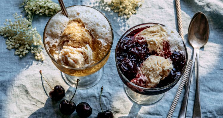 Delia Smith Ice-cream Sodas