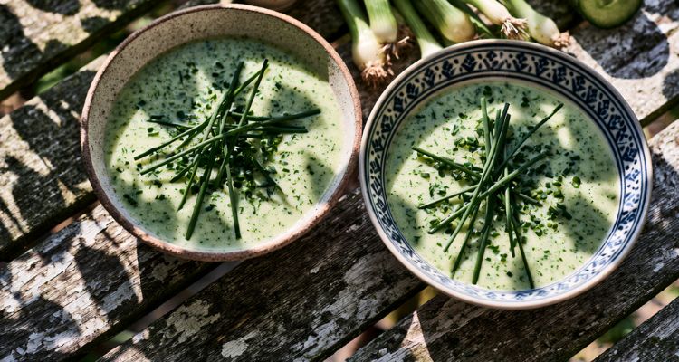 Delia Smith Old English Summer Soup